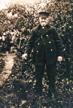 Willem Pauwels (1852-1940) Willem Pauwels (1852-1940)